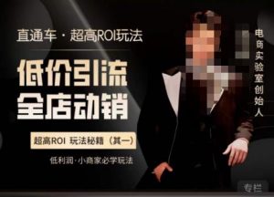 电商冰可乐·直通车·《低价引流·全店动销》,直通车·超高ROI玩法(其一)全店动销必学玩法-学习资源社