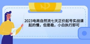 2023电商自然流七天正价起号实战课:起的慢,但是稳,小白执行即可!-学习资源社
