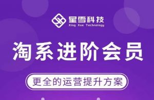星雪·淘系进阶课程,快速提升突破技能流量瓶颈必备(更新2023年5月)-学习资源社