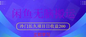 闲鱼无脑搬运,冷门长久项目,日收益200【揭秘】-学习资源社