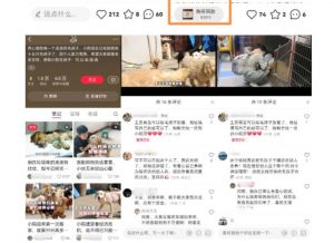 小红书蓝海类赛道:小动物打赏与购买变现副业项目,一条龙玩法分享给你!-学习资源社