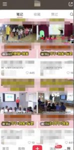 幼儿园公开课项目,虚拟资源变现,一单19.9,单日变现300-学习资源社