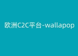 欧洲C2C平台-wallapop-kim跨境电商教程-学习资源社
