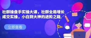 社群操盘手实操大课,社群全局增长成交实操,小白到大神的进阶之路-学习资源社
