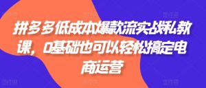 拼多多低成本爆款流实战私教课,0基础也可以轻松搞定电商运营-学习资源社