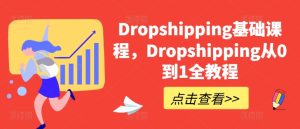 Dropshipping基础课程,Dropshipping从0到1全教程-学习资源社