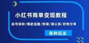 小红书商单变现教程:起号涨粉/爆款选题/剪辑/蒲公英/好物分享/各种玩法-学习资源社