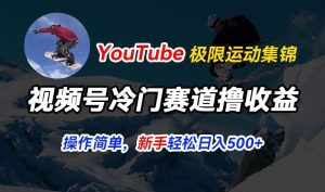 视频号冷门赛道撸收益,YouTube搬运极限运动集锦,暴力起号,操作简单流量高,轻松日入5张【揭秘】-学习资源社