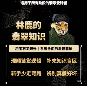 林鹿的翡翠知识，​用宝石眼光，系统全面的看懂翡翠-学习资源社