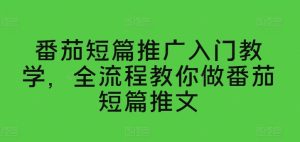 番茄短篇推广入门教学,全流程教你做番茄短篇推文-学习资源社