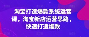 淘宝打造爆款系统运营课,淘宝新店运营思路,快速打造爆款-学习资源社