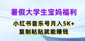 暑假大学生宝妈福利,小红书音乐号月入5000+,复制粘贴就能赚钱【揭秘】-学习资源社
