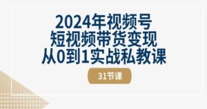 视频号短视频带货变现怎么操作赚钱?从0到1实战私教课(30节视频课)-学习资源社