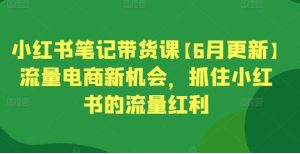 小红书笔记带货赚钱吗?小红书笔记带货流程怎么做?小红书笔记带货课流量电商新机会-学习资源社