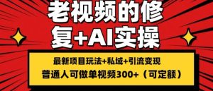 修复老视频的玩法,搬砖+引流的变现(可持久),单条收益300+【揭秘】-学习资源社