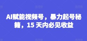 AI赋能视频号,暴力起号秘籍,15 天内必见收益【揭秘】-学习资源社