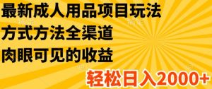 最新成人用品项目玩法,方式方法全渠道,轻松日入2K+【揭秘】-学习资源社