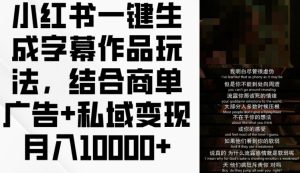 小红书一键生成字幕作品玩法,结合商单广告+私域变现月入1w+【揭秘】-学习资源社