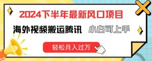 2024下半年最新风口项自,海外视频搬运腾讯,小白可上手,轻松月入过万【揭秘】-学习资源社