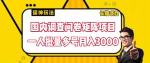 国内调查问卷矩阵项目,一人批量多号月入3000【揭秘】-学习资源社