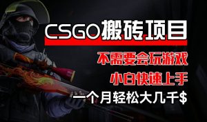 CSGO 装备搬砖项目,操作简单,不需要会玩游戏,小白也能快速上手,一个月轻松大几千【揭秘】-学习资源社