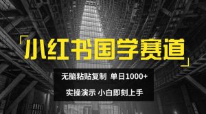 小红书国学赛道,无脑粘贴复制,单日1K,实操演示,小白即刻上手【揭秘】-学习资源社