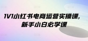 1V1小红书电商运营实操课,新手小白必学课-学习资源社