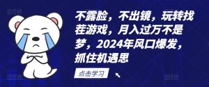 不露脸,不出镜,玩转找茬游戏,月入过万不是梦,2024年风口爆发,抓住机遇【揭秘】-学习资源社