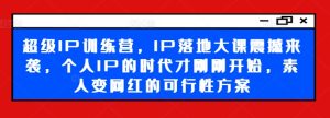 超级IP训练营,IP落地大课震撼来袭,个人IP的时代才刚刚开始,素人变网红的可行性方案-学习资源社
