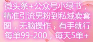 微头条+公众号小绿书,精准引流男粉到私域卖套图,无脑操作,有手就行,每单99-200,每天5单-学习资源社