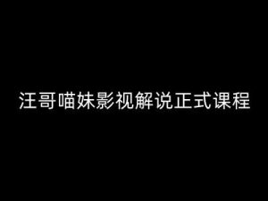 汪哥影视解说正式课程:剪映/PR教学/视解说剪辑5大黄金法则/全流程剪辑7把利器等等-学习资源社
