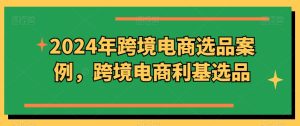 2024年跨境电商选品案例,跨境电商利基选品(更新)-学习资源社