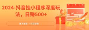 2024全网首次披露,抖音挂小程序深度玩法,日赚500+,简单、稳定,带渠道收入,小白必做【揭秘】-学习资源社