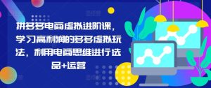 拼多多电商虚拟进阶课,学习高利润的多多虚拟玩法,利用电商思维进行选品+运营(更新)-学习资源社