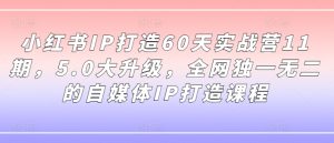 小红书IP打造60天实战营11期，5.0大升级，全网独一无二的自媒体IP打造课程-学习资源社
