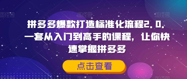 拼多多爆款打造标准化流程2.0，一套从入门到高手的课程，让你快速掌握拼多多-学习资源社