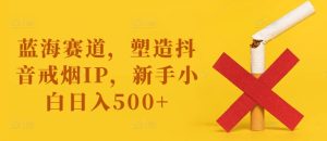 蓝海赛道,塑造抖音戒烟IP,新手小白日入500+【揭秘】-学习资源社