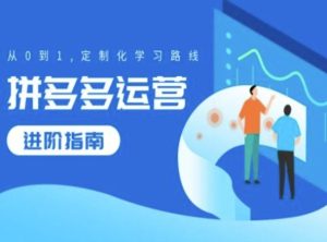 拼多多运营进阶指南,从0到1定制化学习路线-学习资源社