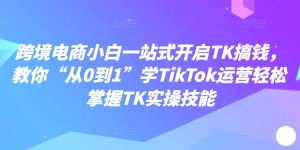 跨境电商小白一站式开启TK搞钱,教你“从0到1”学TikTok运营轻松掌握TK实操技能-学习资源社