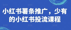 小红书薯条推广,少有的小红书投流课程-学习资源社