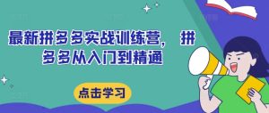 最新拼多多实战训练营, 拼多多从入门到精通-学习资源社