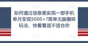 如何通过信息差实现一部手机单月变现5000+?简单无脑搬砖玩法,快看看适不适合你【揭秘】-学习资源社