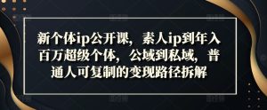 新个体ip公开课,素人ip到年入百万超级个体,公域到私域,普通人可复制的变现路径拆解-学习资源社