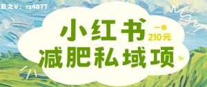 小红书减肥粉,私域变现项目,一单就达210元,小白也能轻松上手【揭秘】-学习资源社