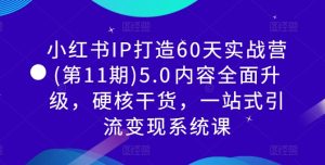 小红书IP打造60天实战营(第11期)5.0内容全面升级,硬核干货,一站式引流变现系统课-学习资源社