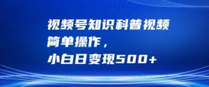 10分钟一条童装走秀爆款Ai视频,小白轻松上手,新蓝海赛道【揭秘】-学习资源社
