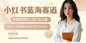 小红书蓝海赛道,圈中高端职场人,月入无上限,可矩阵,内含私域实操教程!-学习资源社