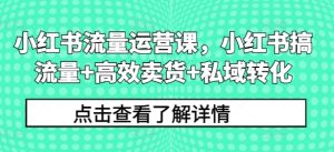 小红书流量运营课,小红书搞流量+高效卖货+私域转化-学习资源社