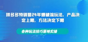 拼多多特训营24年爆破流玩法,产品决定上限,方法决定下限,各种玩法技巧落地实操-学习资源社