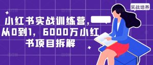 小红书实战训练营,从0到1,6000万小红书项目拆解-学习资源社